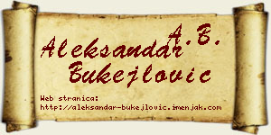 Aleksandar Bukejlović vizit kartica